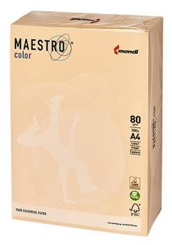 PAPIER MAESTRO COLOR A4 80...